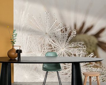 Hiding behind the white fluff by Marjolijn van den Berg