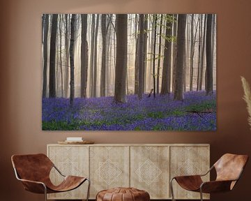 Fairytale Haller forest VI - Woodland hyacinth festival - Bluebells by Daan Duvillier | Dsquared Photography