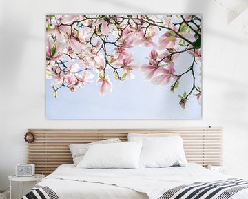Roze Magnolia bloemen met blauwe lucht van Angeline Dobber