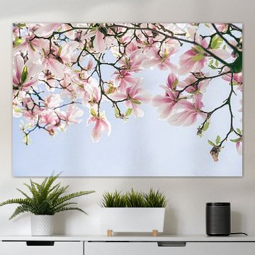 Roze Magnolia bloemen met blauwe lucht van Angeline Dobber