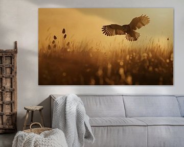 Owl at dusk light colour panorama by TheXclusive Art