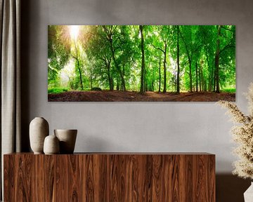 Summer forest panorama by Dennis van de Water