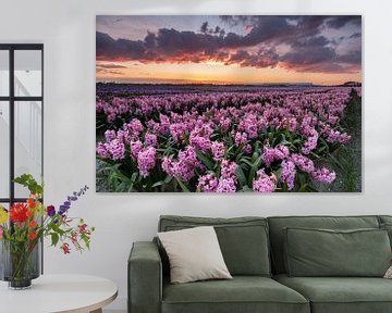 Pink hyacinths in bloom under a colourful sky during sunset by Bram Lubbers