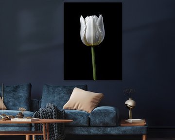 Witte tulp van Hilde Remerie Photography and digital art