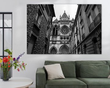 Onze-Lieve-Vrouwekathedraal van Reims, Frankrijk van Imladris Images