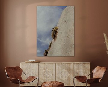 Flowers on Top | Travel Photography Art Print in the City of Saint Tropez | Cote d’Azur, South of France