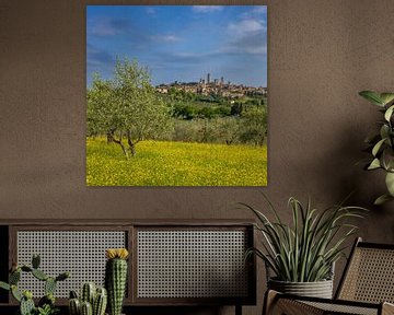 Lente in Toscane bij San Gimignano van Walter G. Allgöwer