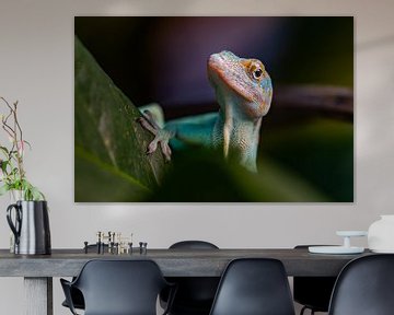 Colourful reptile by Annet Oldenkamp