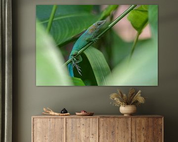 Reptil im Zoo von Annet Oldenkamp