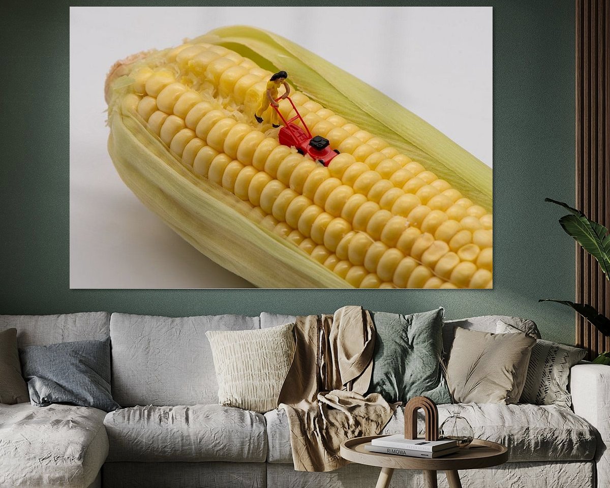 Raumvorschau