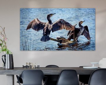 Feuchte Achselhöhlen von Jan van der Knaap