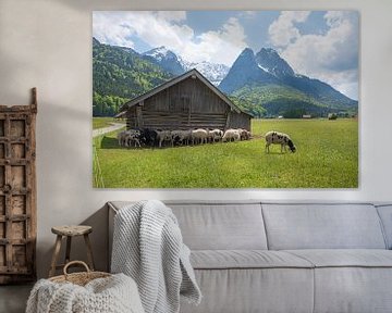 pâturage avec des moutons en train de brouter et une étable Grainau, vue sur le Wetterstein sur SusaZoom