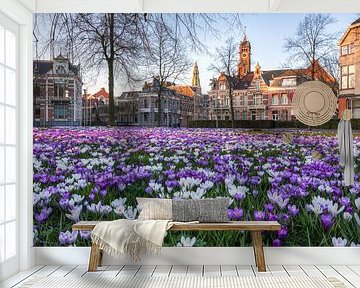 Frühling in Groningen von Volt