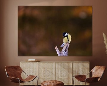 Great tit on a branch by Marika Huisman fotografie