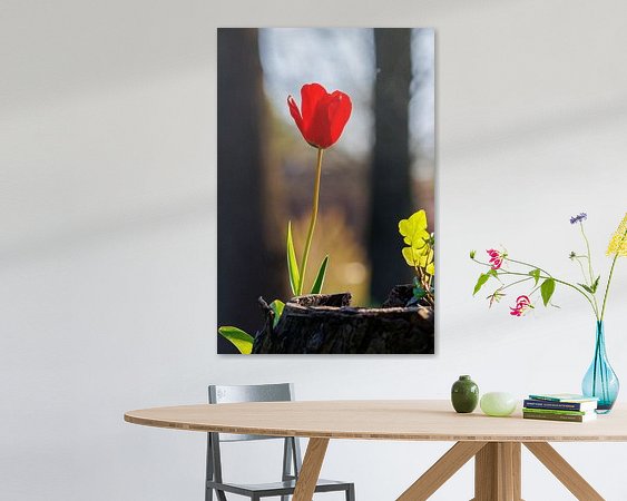 Voorbeeld van het werk in een kamer