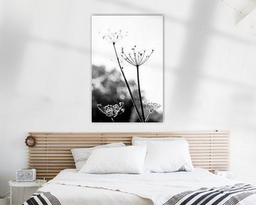 Gedroogde bloem in Beekbergerwoud in zwart-wit van Angeline Dobber