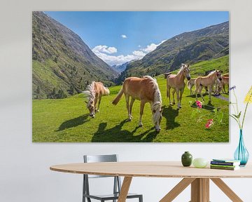 Haflingerpaarden in het Venter Tal in de Tiroler Alpen van Sjoerd van der Wal Fotografie