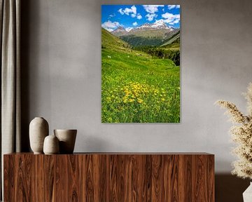 Frühlingshafte Wiese in den Tiroler Alpen in Österreich von Sjoerd van der Wal Fotografie