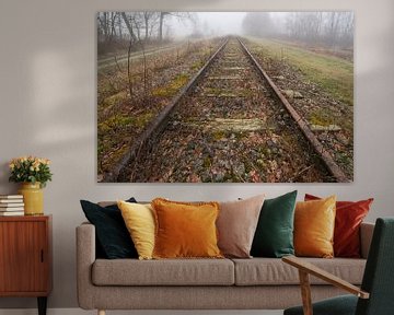 Old railway line "Borkense Course" in the Netherlands sur Tonko Oosterink