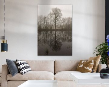 Tree outline with reflection in the morning mist von Tonko Oosterink