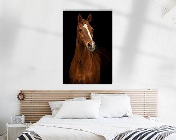 Portrait d'art du cheval sur Special Moments MvL