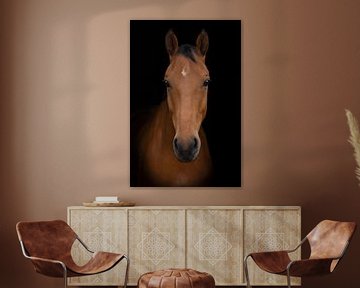 Portrait d'art du cheval sur Special Moments MvL