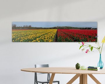 Panorama, tulpenvelden in Noordwijk van Yanuschka Fotografie | Noordwijk