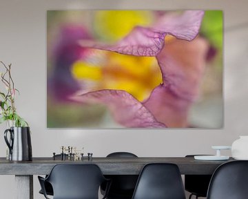 Fleur d'iris violet Macro Abstraction sur Iris Holzer Richardson