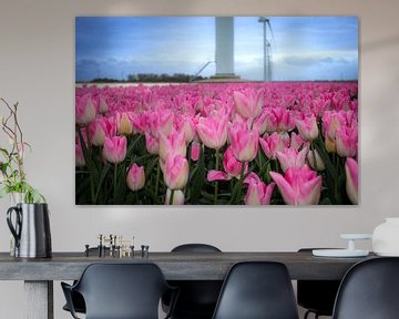 roze met wit tulpenveld in Flevoland met windmolens van Jos van den berg