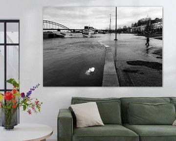 Hoogwater Nijmegen van PIX STREET PHOTOGRAPHY