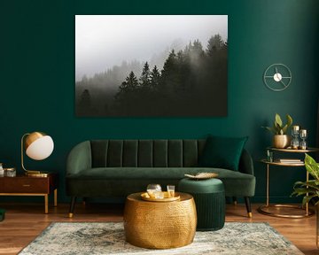 Forêts brumeuses | arbres dans le brouillard | Papier peint photo sur Laura Dijkslag