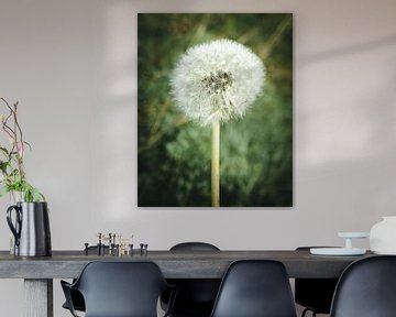 Dandelion by Jan Eltink