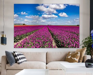 Flowering tulip fields in the Groningen countryside by Gert Hilbink