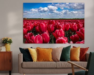 Champs de tulipes en fleurs dans la campagne de Groningue sur Gert Hilbink