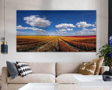 Blühende Tulpenfelder in der Landschaft von Groningen von Gert Hilbink