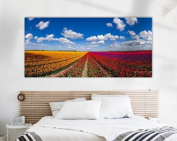 Flowering tulip fields in the Groningen countryside by Gert Hilbink