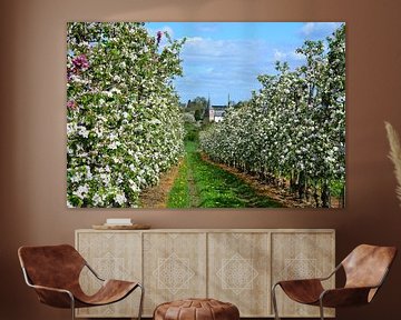 View of apple blossom orchard with church in Borgloon Haspengouw by My Footprints