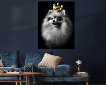 Royal pomeranian in black and white with golden crown by John van den Heuvel