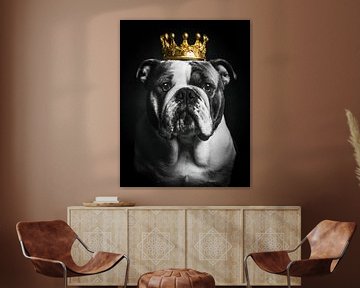 Royal English Bulldog with golden crown by John van den Heuvel