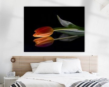 Orangene Tulpe mit Spiegelung von Angelika Beuck