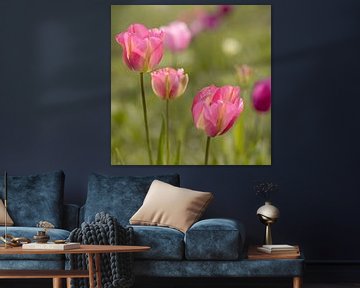 Tulip. Pink and green hues. Spring. by Alie Ekkelenkamp