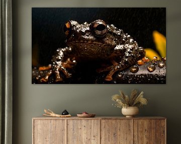 Frog in the rain with raindrops by Mustafa Kurnaz