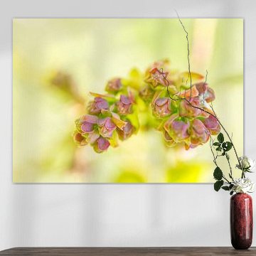 Rosa Heidelbeerknospen mit grüner Pastellfarbe