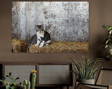 Kittens in the Countryside: Adventures on the Hay Bale by Elianne van Turennout