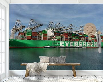 Containerschip Ever Alp van Evergreen. van Jaap van den Berg