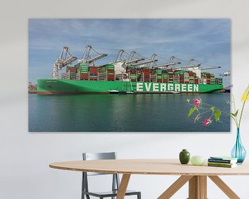 Containerschip Ever Alp van Evergreen. van Jaap van den Berg