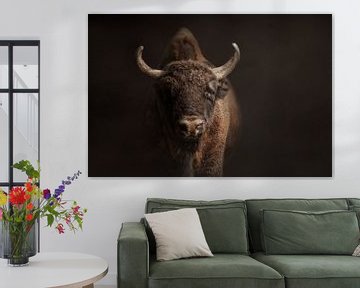 Portret van een wisent of europese bizon | rund | koe van Laura Dijkslag