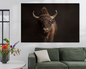 Portrait d'un bison ou d'un bison européen | vache sur Laura Dijkslag