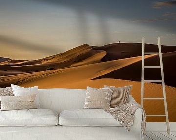 Morgensonne in der Wüste von Peter Vruggink
