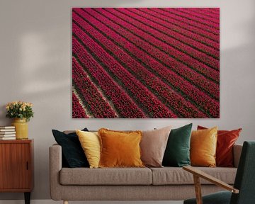 Dutch tulip field by Bas van der Gronde